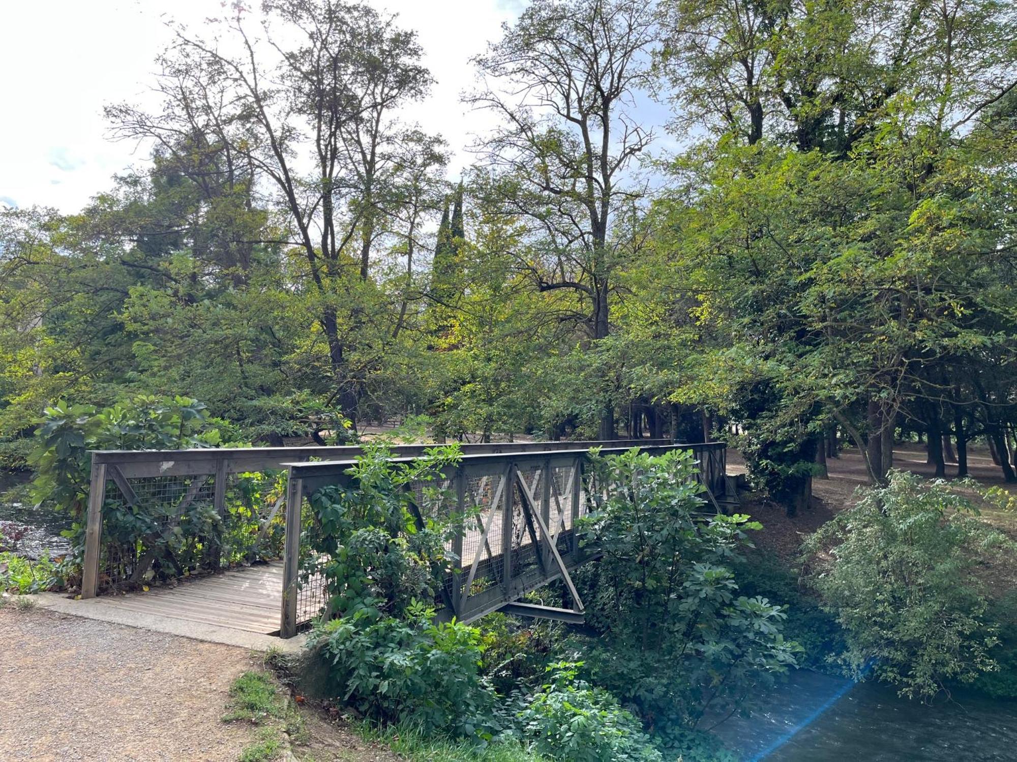 La Maison Du Pont Vieux Καρκασόν Εξωτερικό φωτογραφία